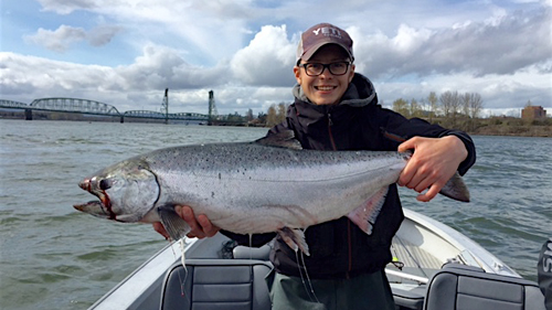 Spring Chinook Salmon - Fishing On The Willamette And Columbia Rivers ...