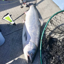  Ryan Hatfield Attachments May 13, 2019, 11:15 AM (4 days ago) to me Big Spring Salmon Caught In the Multnomah Channel
