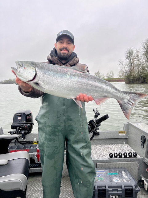 chinook salmon fishing catch of the day