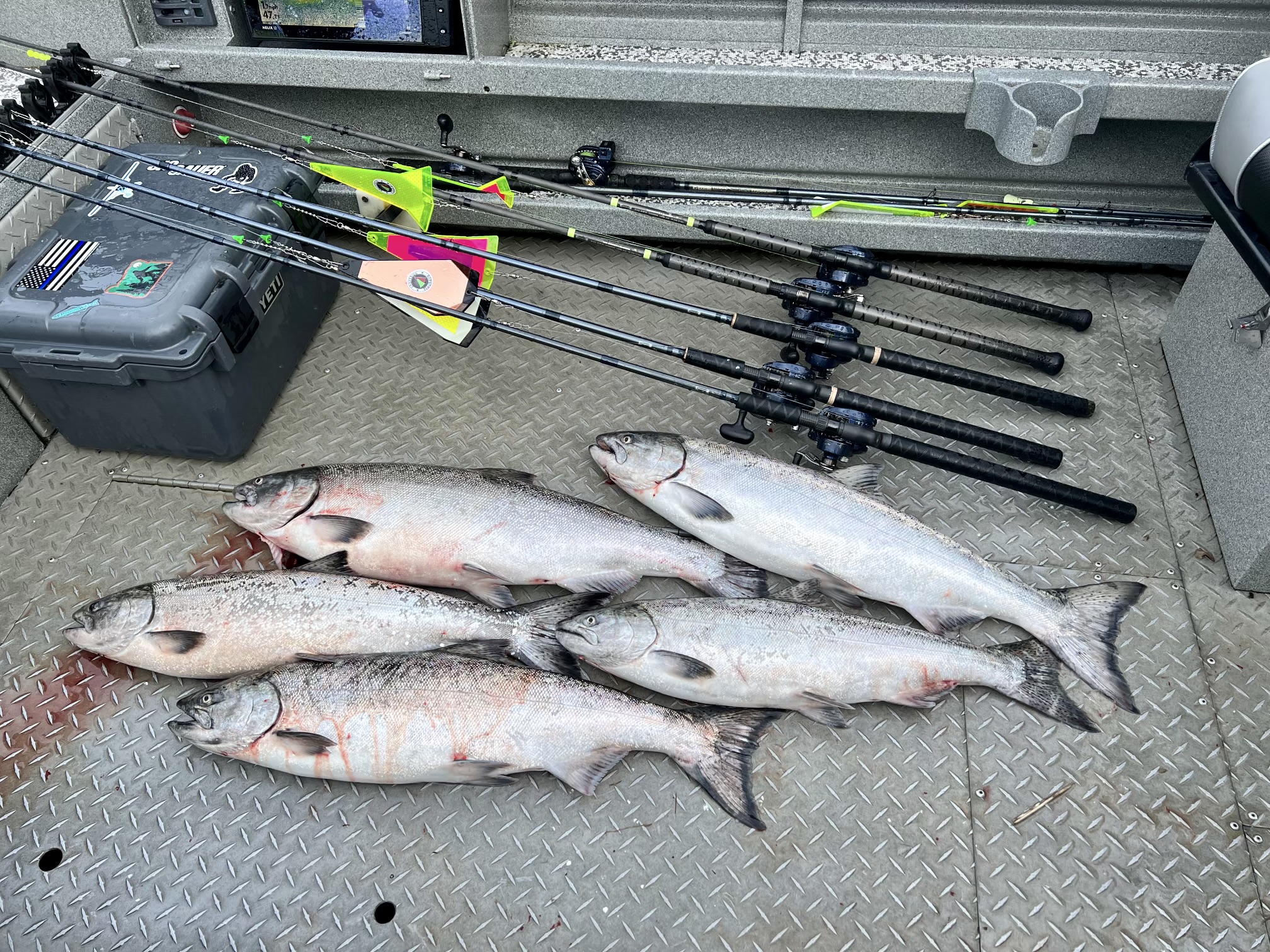 chinook salmon catch of the day
